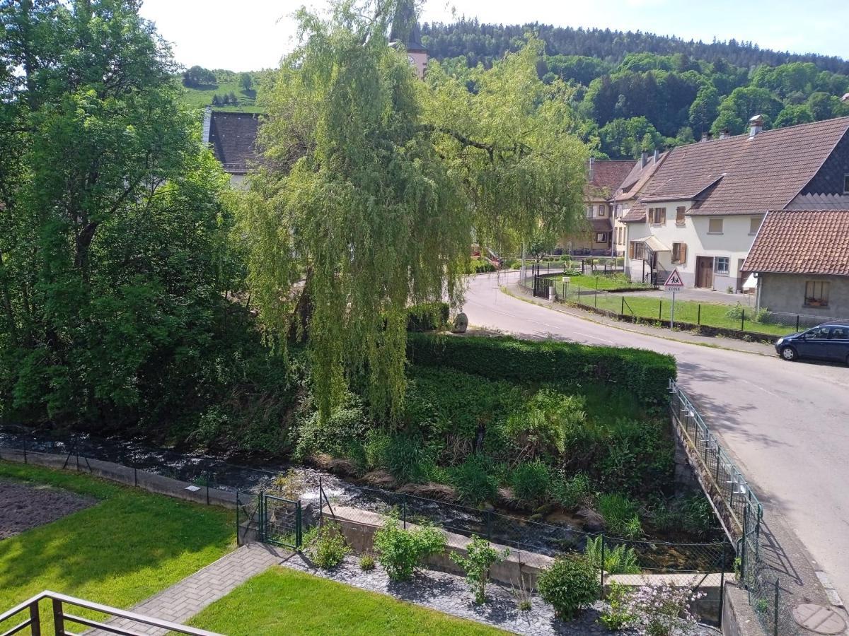 Le gîte des Kritter Stosswihr Extérieur photo