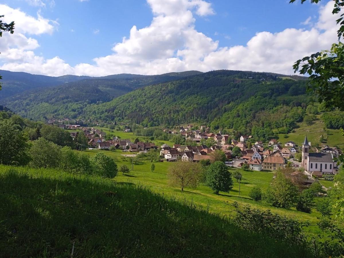 Le gîte des Kritter Stosswihr Extérieur photo